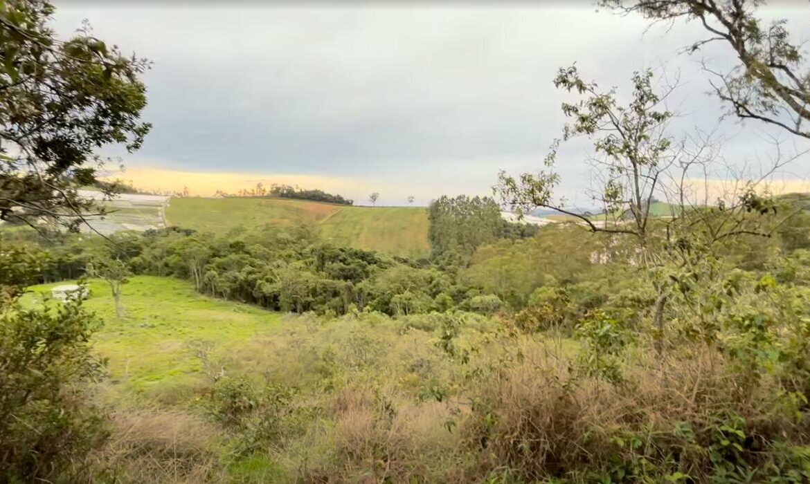 Imagem 01 do terreno à venda em Senador Amaral/MG — cód. 2534