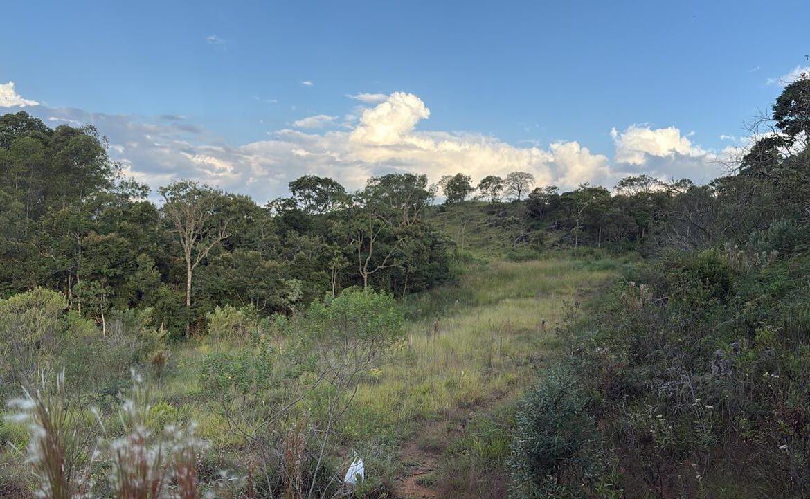 Imagem 02 do terreno à venda em Senador Amaral/MG — cód. 2534