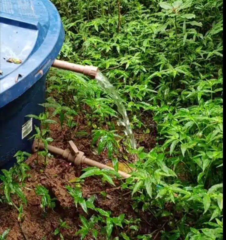 Imagem 04 do terreno à venda em Senador Amaral/MG — cód. 2534