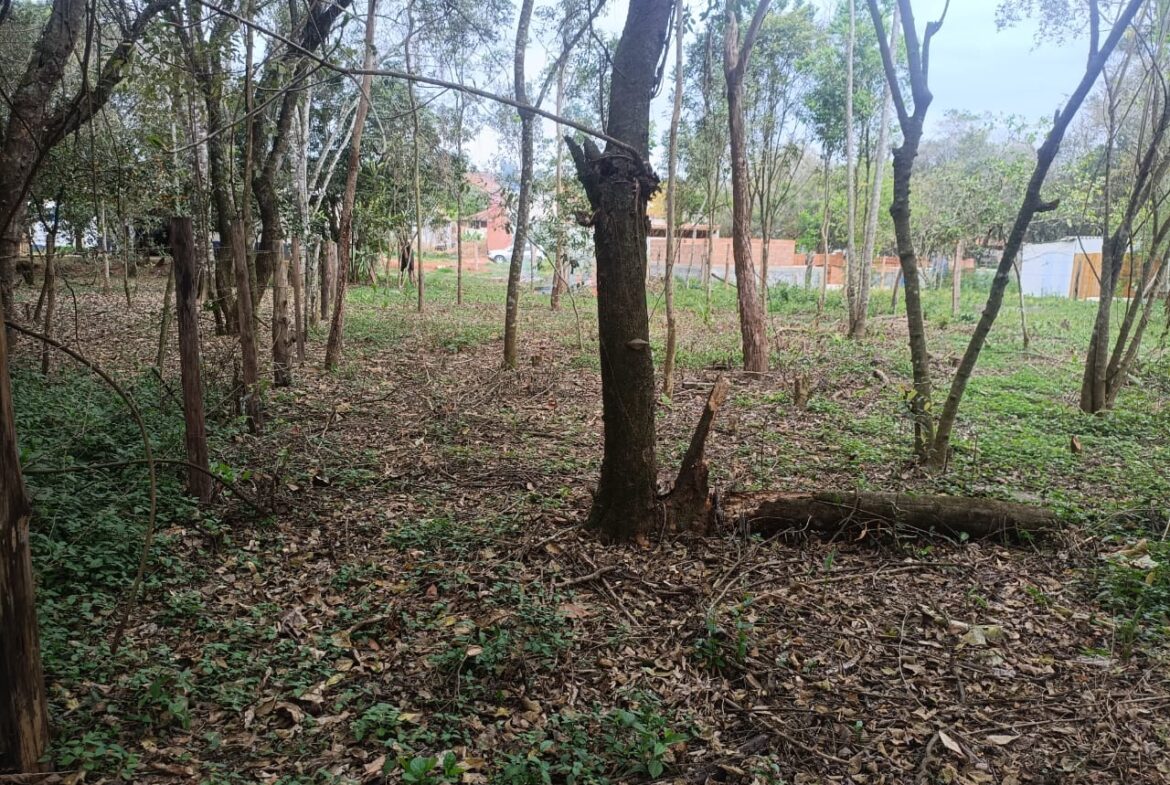 Imagem 01 do terreno à venda em Cambuí/MG — cód. 2535