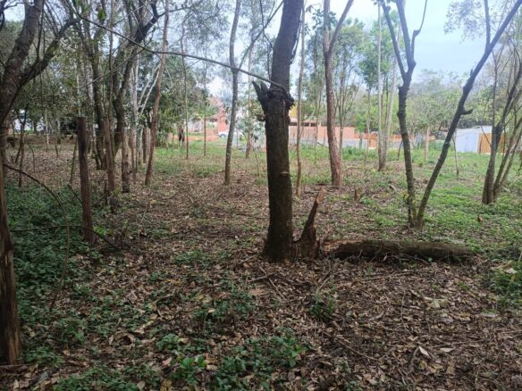 Imagem 01 do terreno à venda em Cambuí/MG — cód. 2535