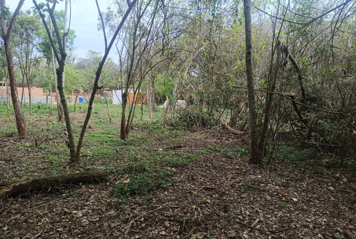 Imagem 02 do terreno à venda em Cambuí/MG — cód. 2535