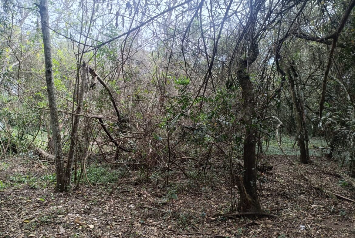 Imagem 03 do terreno à venda em Cambuí/MG — cód. 2535