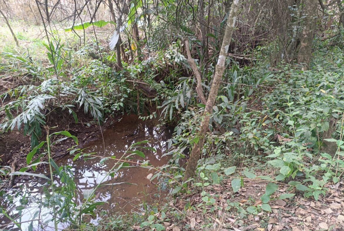 Imagem 04 do terreno à venda em Cambuí/MG — cód. 2535