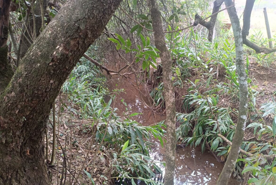 Imagem 05 do terreno à venda em Cambuí/MG — cód. 2535
