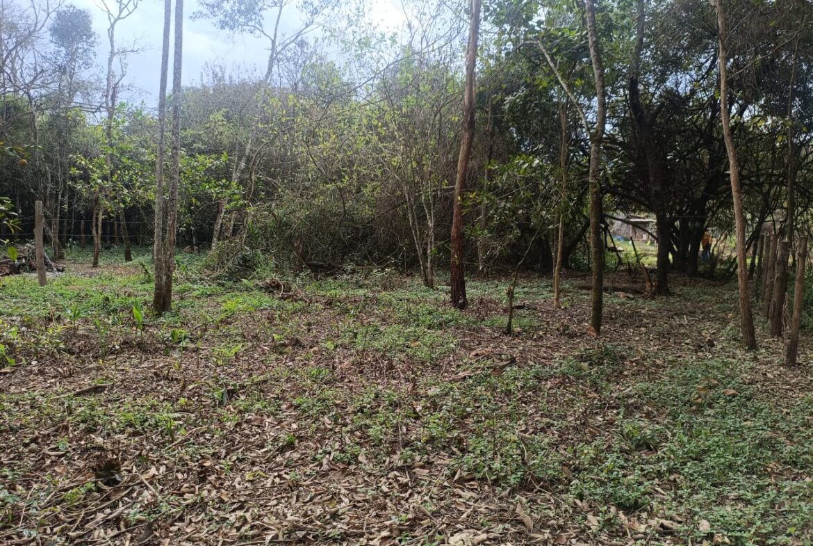 Imagem 06 do terreno à venda em Cambuí/MG — cód. 2535