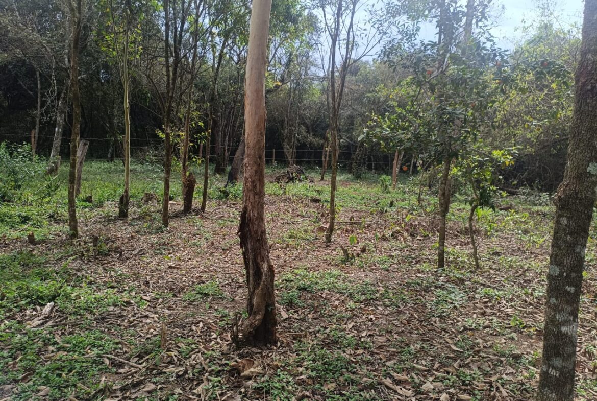 Imagem 07 do terreno à venda em Cambuí/MG — cód. 2535