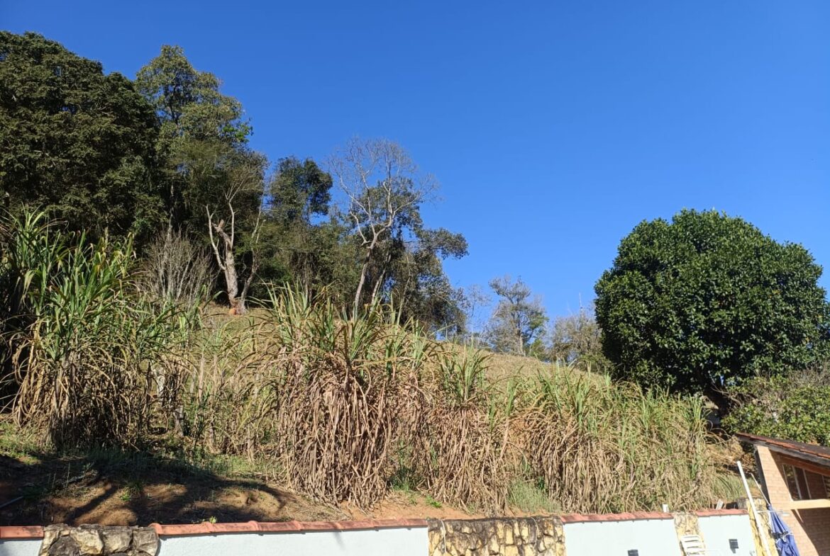Imagem 21 do sítio à venda em Cambuí/MG — cód. 2537