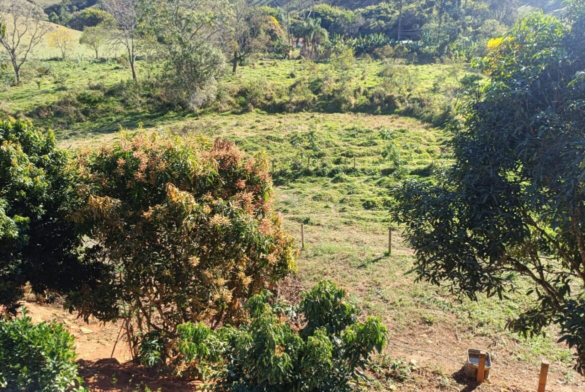 Imagem 24 do sítio à venda em Cambuí/MG — cód. 2537