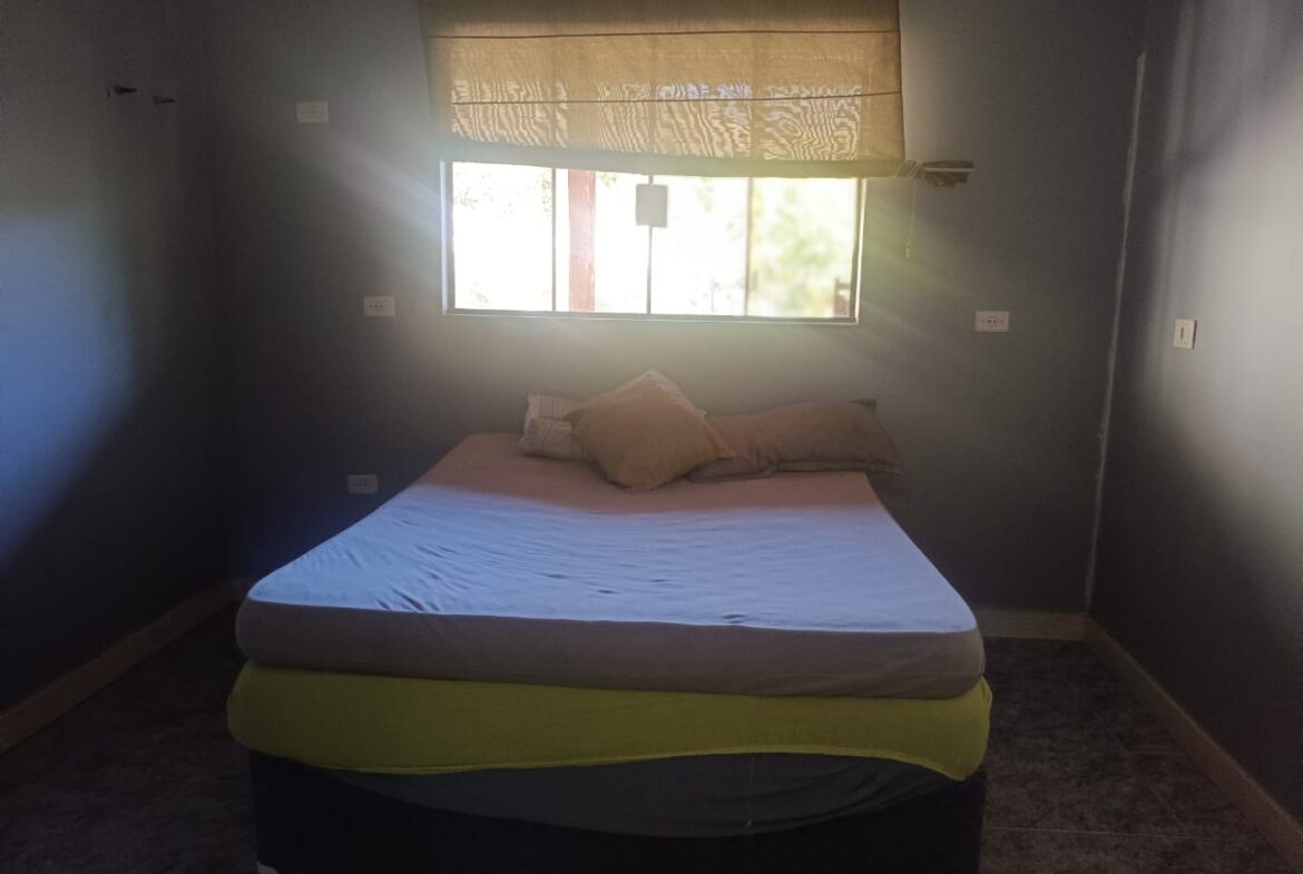 Imagem 38 do sítio à venda em Cambuí/MG — cód. 2537
