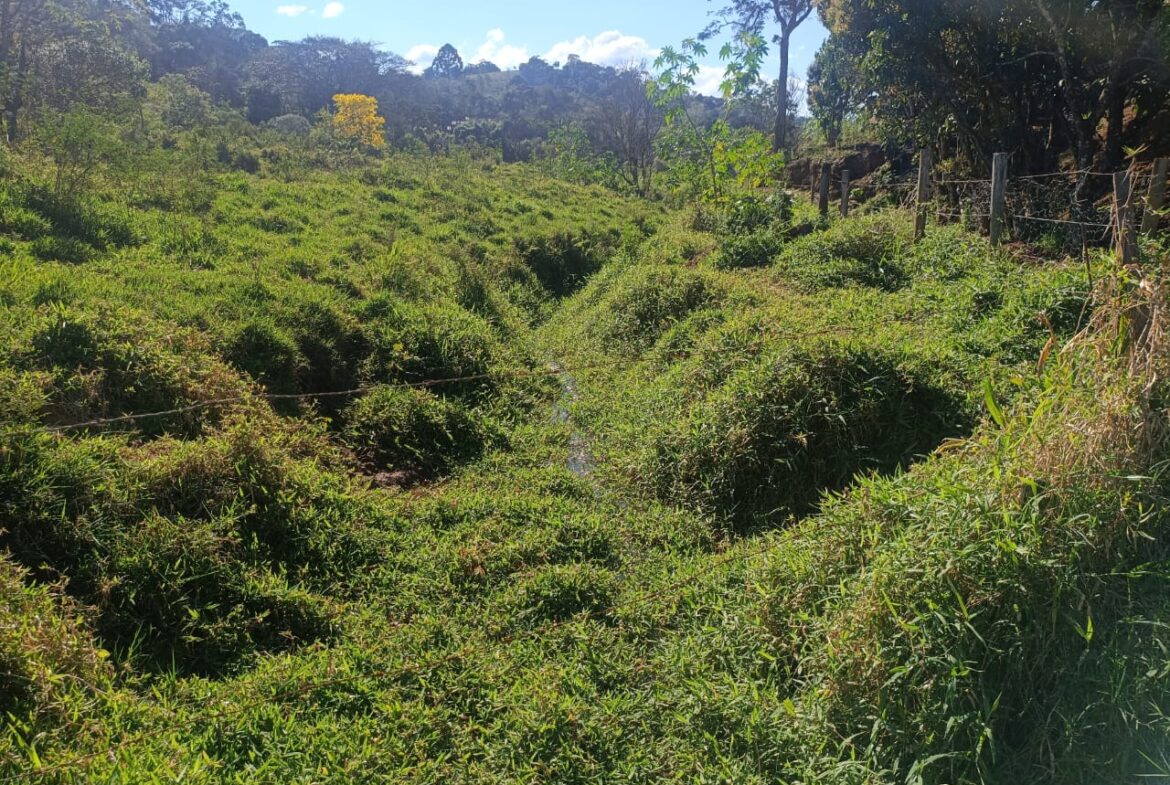 Imagem 54 do sítio à venda em Cambuí/MG — cód. 2537