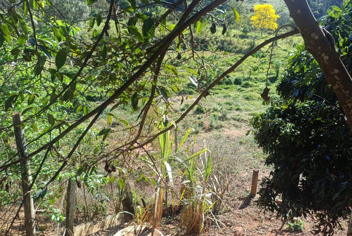 Imagem 55 do sítio à venda em Cambuí/MG — cód. 2537