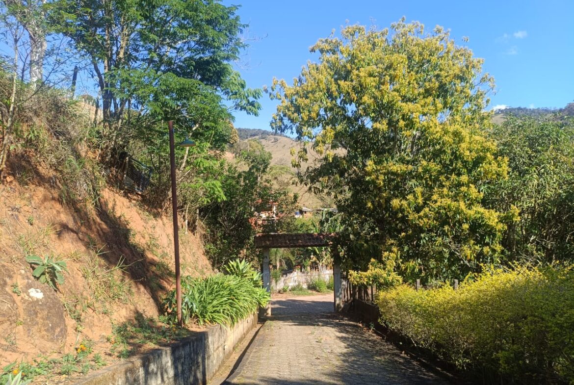 Imagem 61 do sítio à venda em Cambuí/MG — cód. 2537