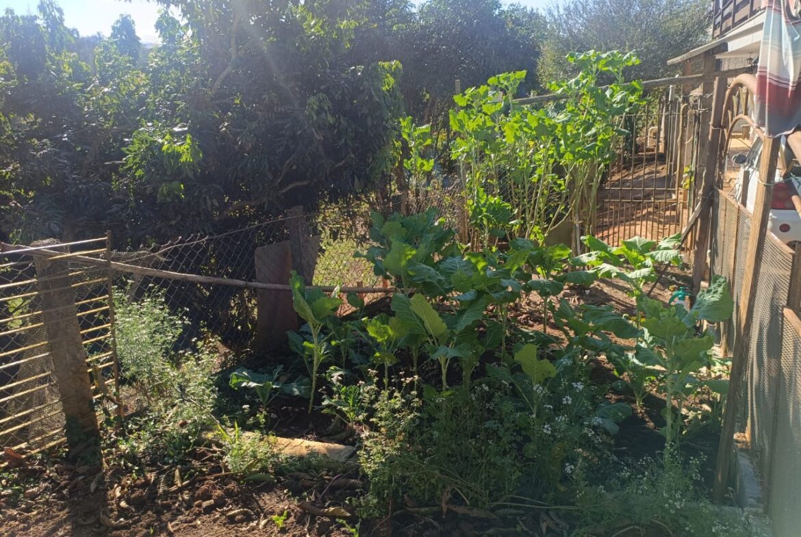 Imagem 62 do sítio à venda em Cambuí/MG — cód. 2537