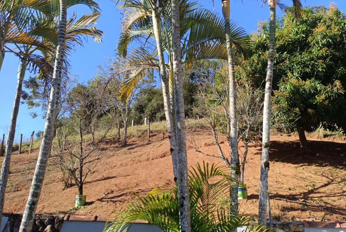 Imagem 63 do sítio à venda em Cambuí/MG — cód. 2537