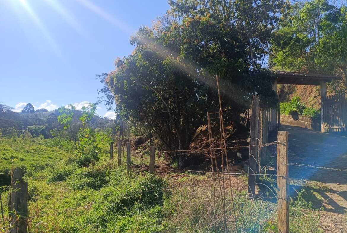 Imagem 65 do sítio à venda em Cambuí/MG — cód. 2537
