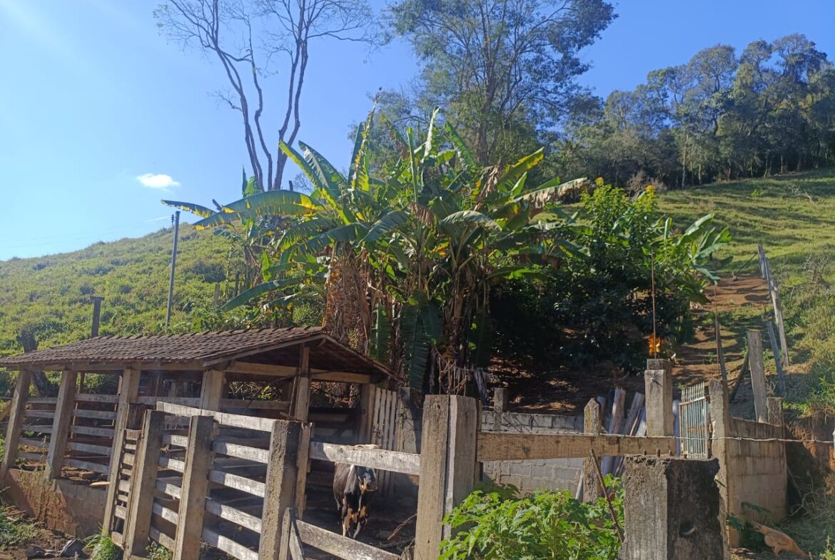 Imagem 66 do sítio à venda em Cambuí/MG — cód. 2537