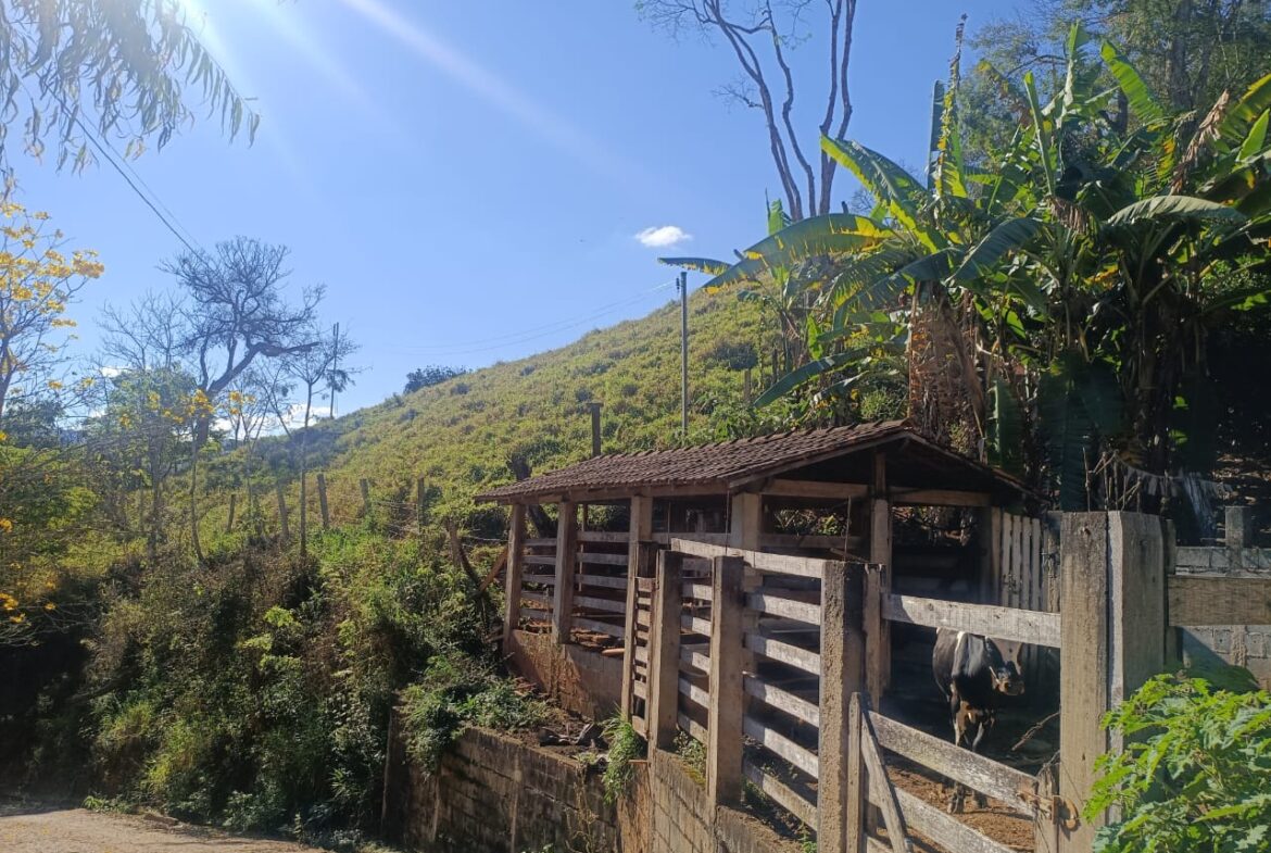 Imagem 67 do sítio à venda em Cambuí/MG — cód. 2537