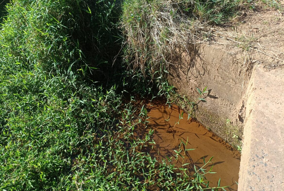 Imagem 68 do sítio à venda em Cambuí/MG — cód. 2537