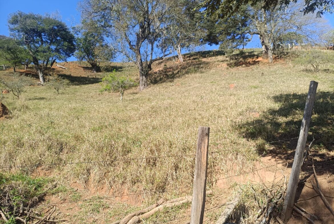 Imagem 71 do sítio à venda em Cambuí/MG — cód. 2537