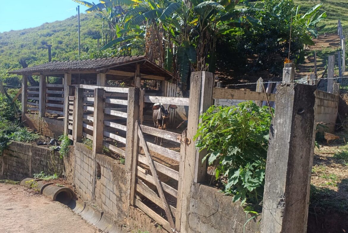 Imagem 72 do sítio à venda em Cambuí/MG — cód. 2537