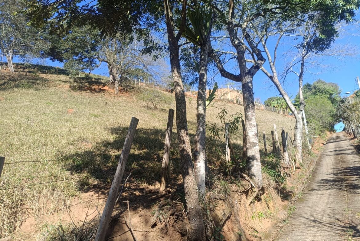 Imagem 73 do sítio à venda em Cambuí/MG — cód. 2537
