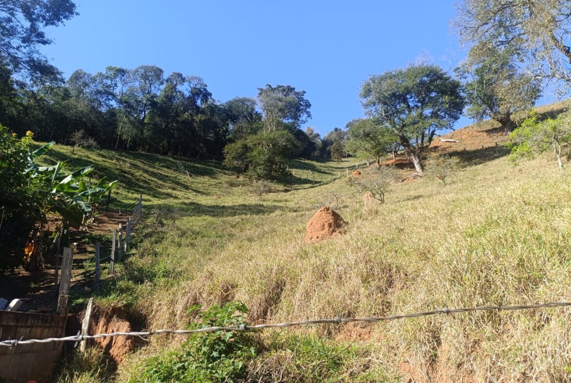 Imagem 74 do sítio à venda em Cambuí/MG — cód. 2537