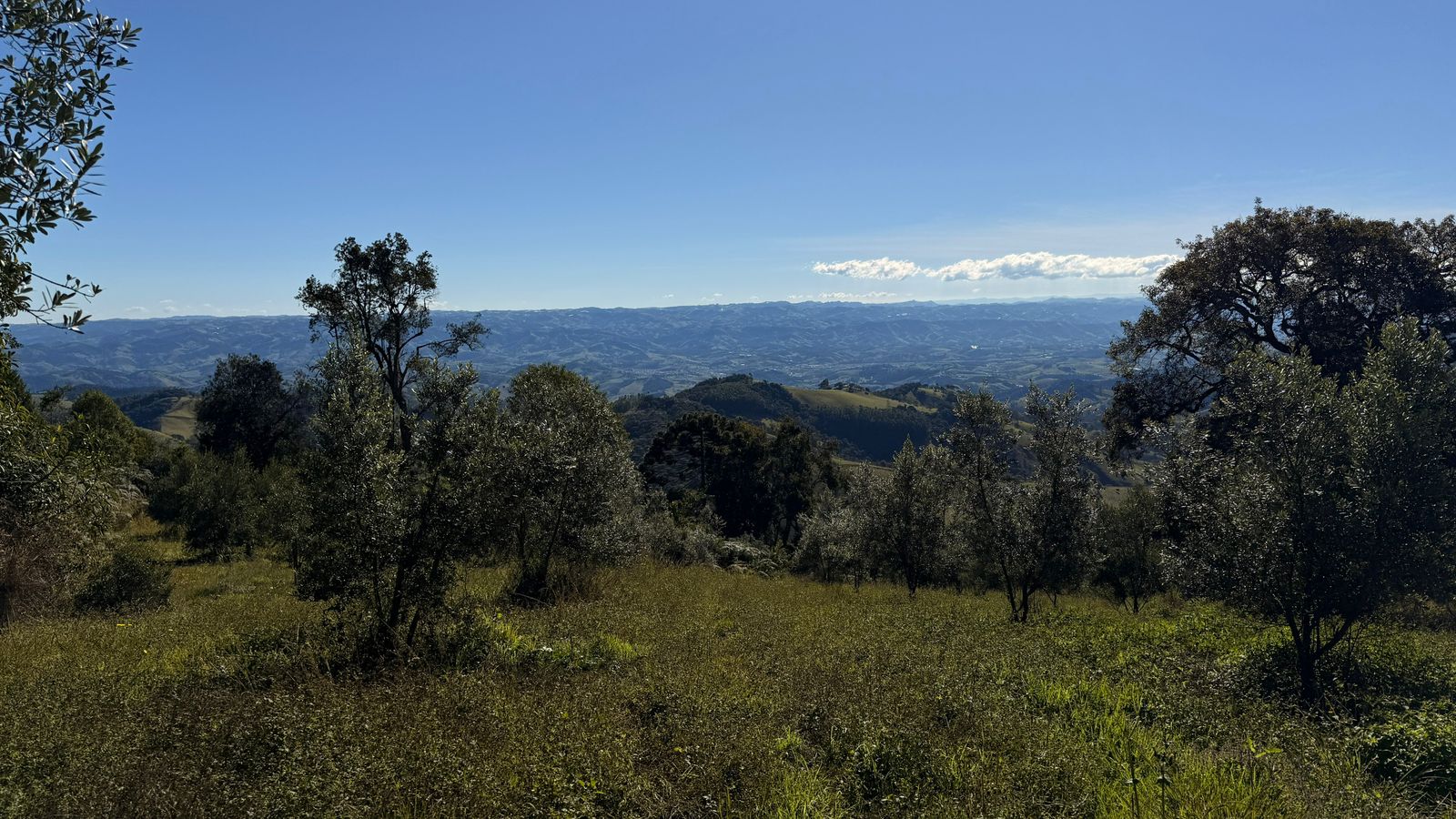 Imagem 01 do sítio à venda em Cambuí/MG — cód. 2539