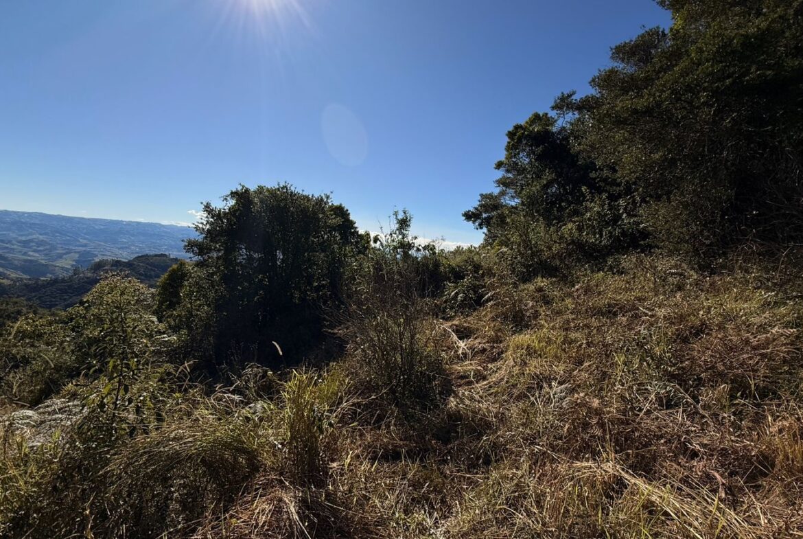 Imagem 03 do sítio à venda em Cambuí/MG — cód. 2539
