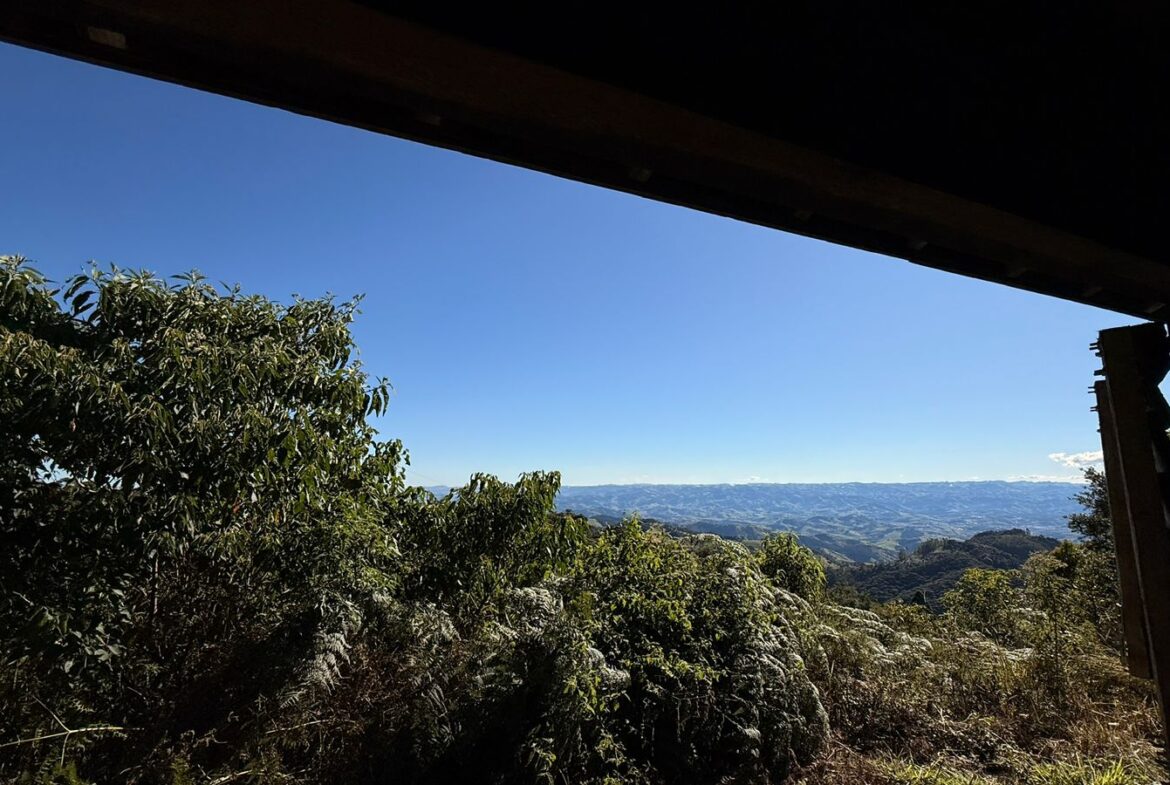 Imagem 04 do sítio à venda em Cambuí/MG — cód. 2539