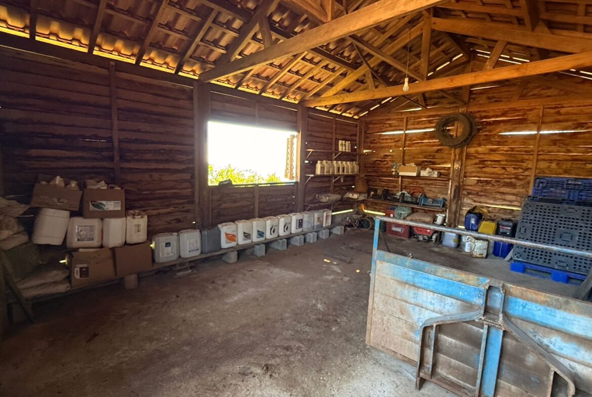Imagem 08 do sítio à venda em Cambuí/MG — cód. 2539