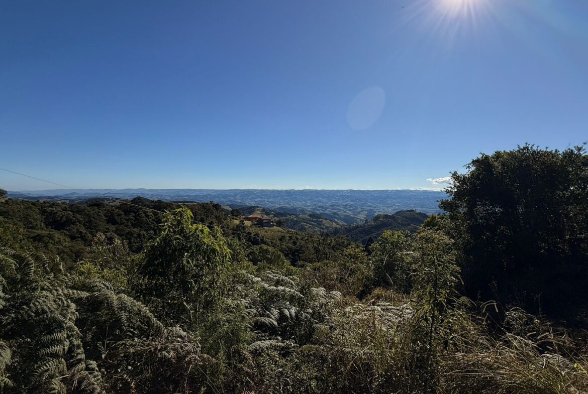 Imagem 13 do sítio à venda em Cambuí/MG — cód. 2539