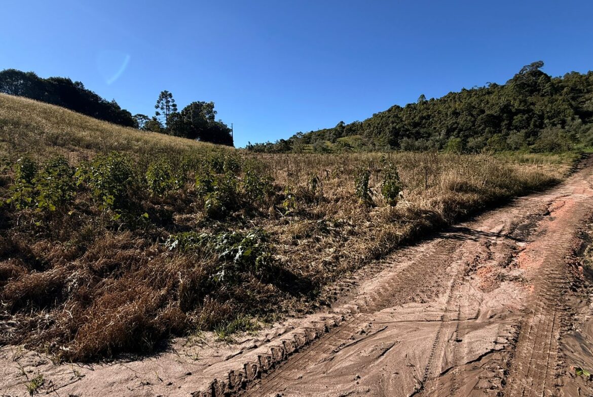 Imagem 14 do sítio à venda em Cambuí/MG — cód. 2539