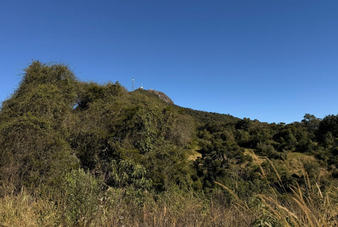 Imagem 16 do sítio à venda em Cambuí/MG — cód. 2539