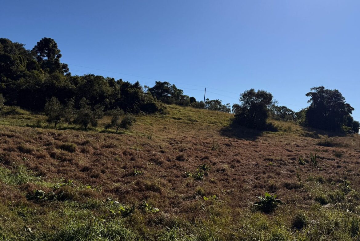 Imagem 17 do sítio à venda em Cambuí/MG — cód. 2539