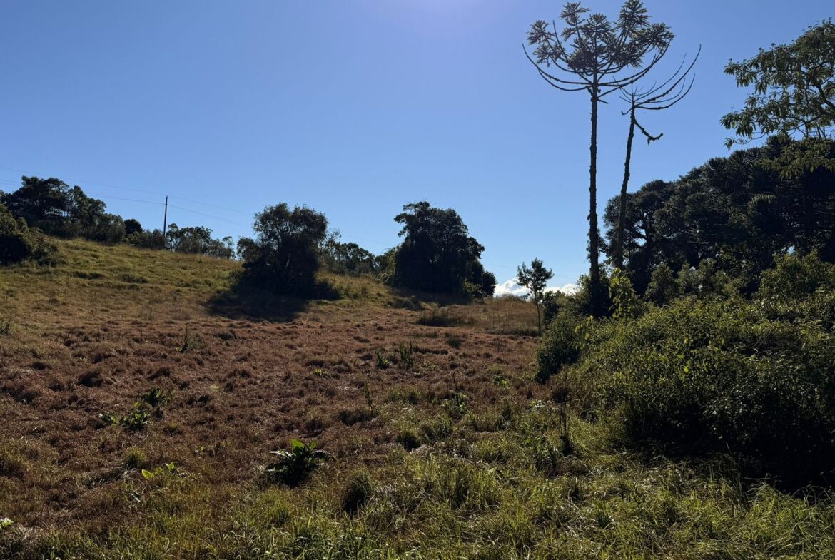 Imagem 18 do sítio à venda em Cambuí/MG — cód. 2539