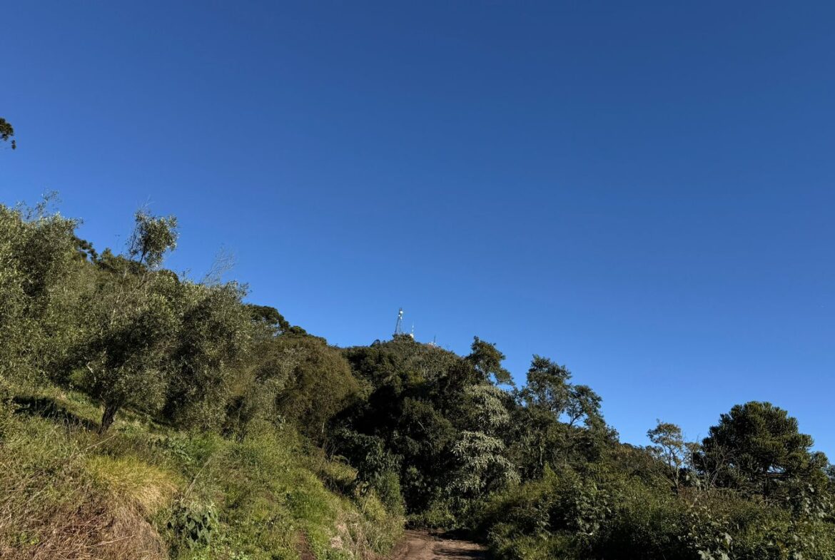 Imagem 19 do sítio à venda em Cambuí/MG — cód. 2539