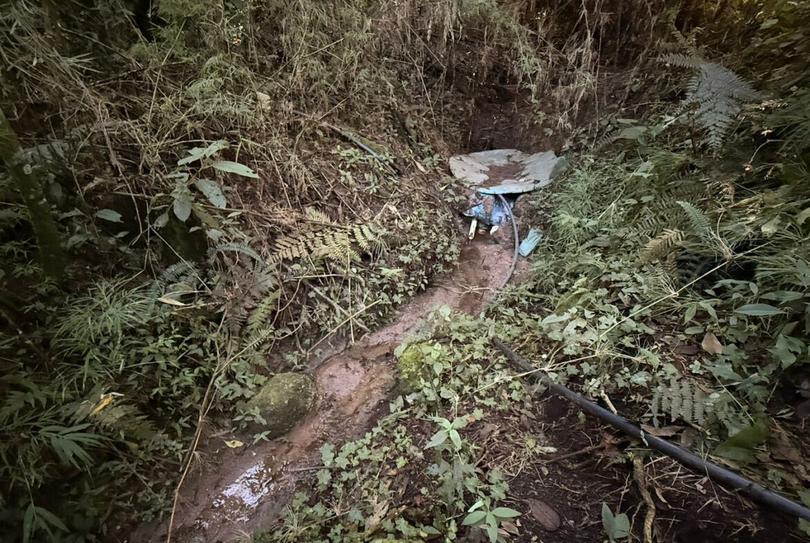 Imagem 20 do sítio à venda em Cambuí/MG — cód. 2539