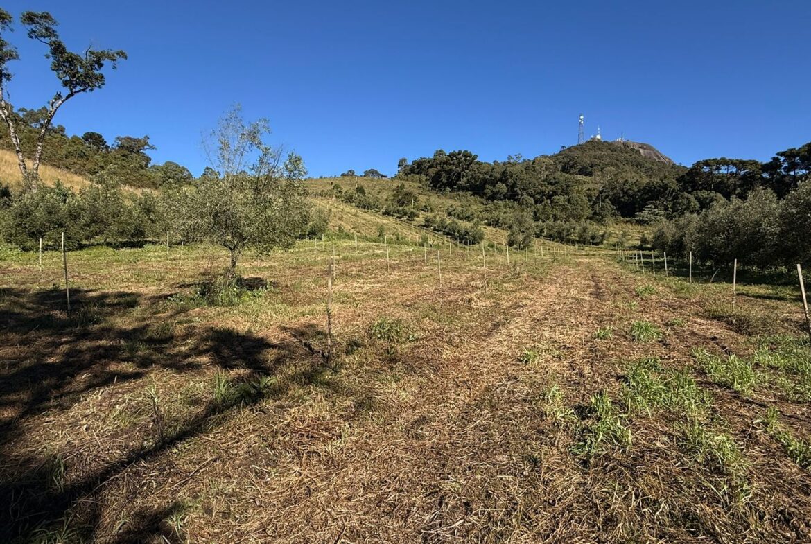 Imagem 21 do sítio à venda em Cambuí/MG — cód. 2539