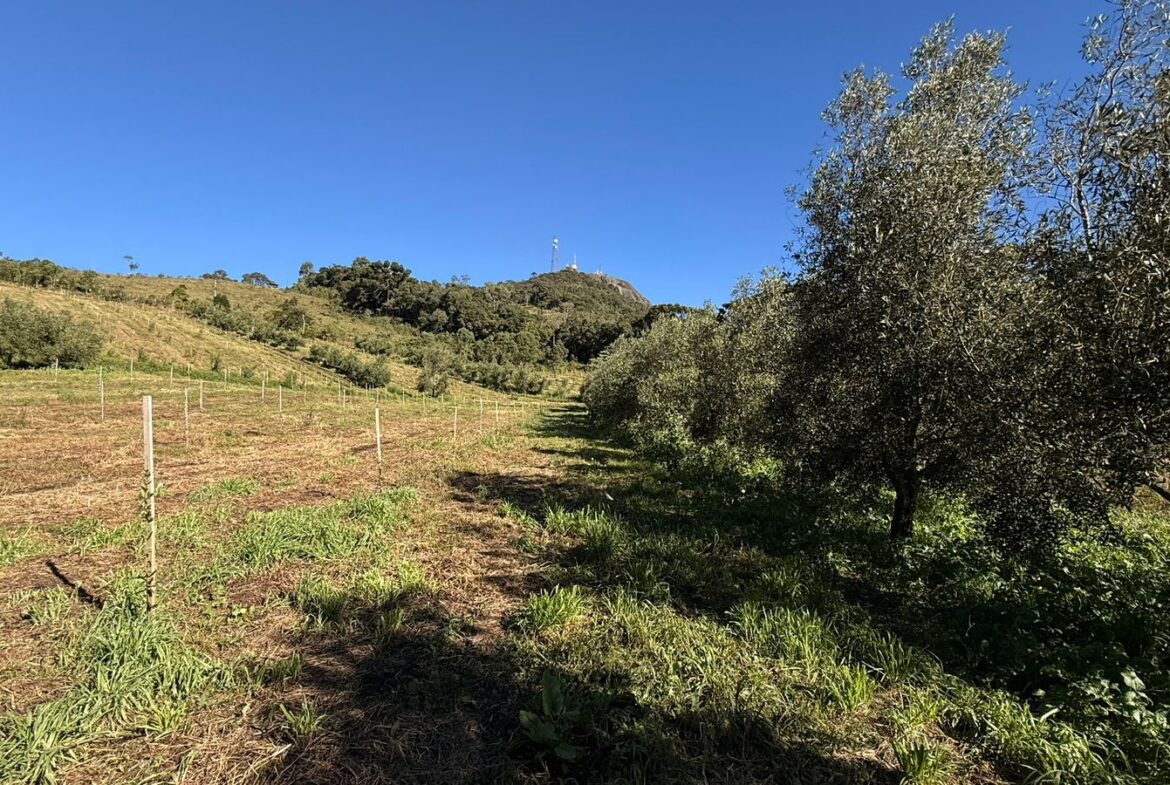 Imagem 23 do sítio à venda em Cambuí/MG — cód. 2539