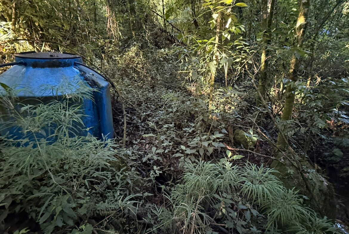 Imagem 24 do sítio à venda em Cambuí/MG — cód. 2539