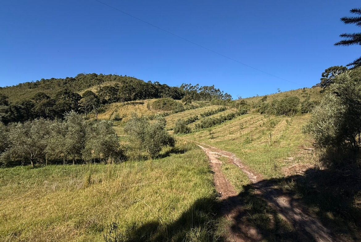 Imagem 26 do sítio à venda em Cambuí/MG — cód. 2539