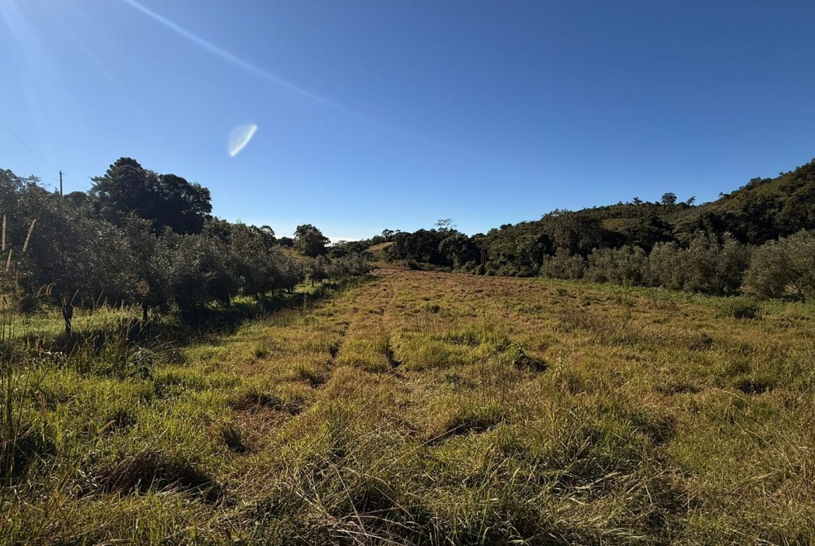 Imagem 27 do sítio à venda em Cambuí/MG — cód. 2539