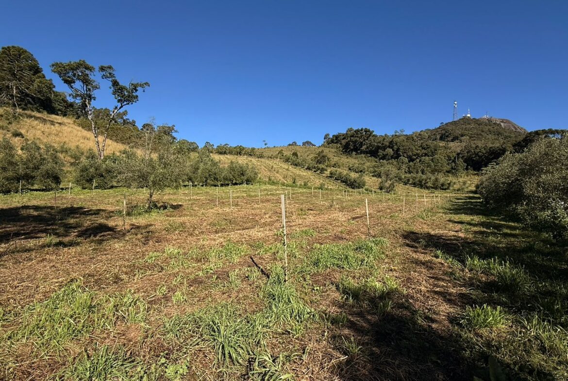 Imagem 28 do sítio à venda em Cambuí/MG — cód. 2539
