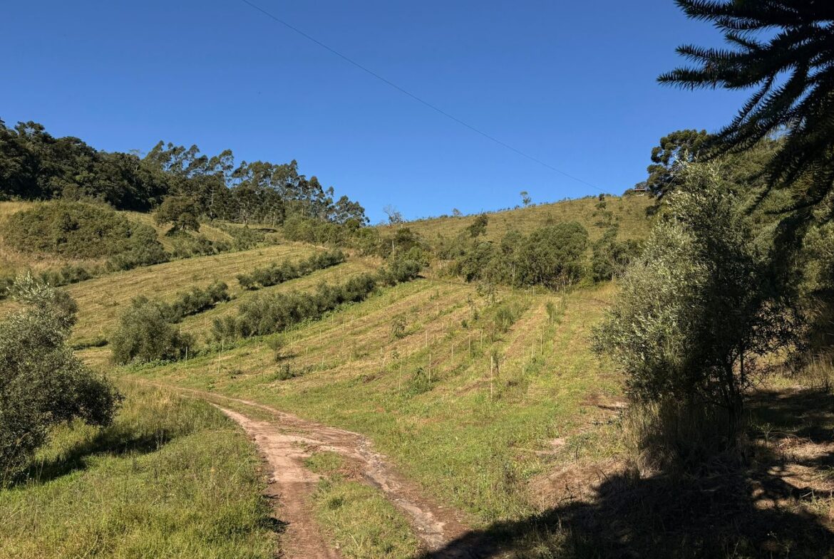 Imagem 29 do sítio à venda em Cambuí/MG — cód. 2539