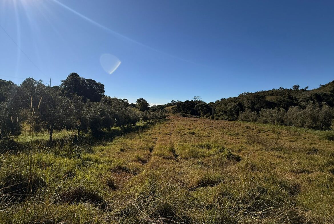 Imagem 31 do sítio à venda em Cambuí/MG — cód. 2539