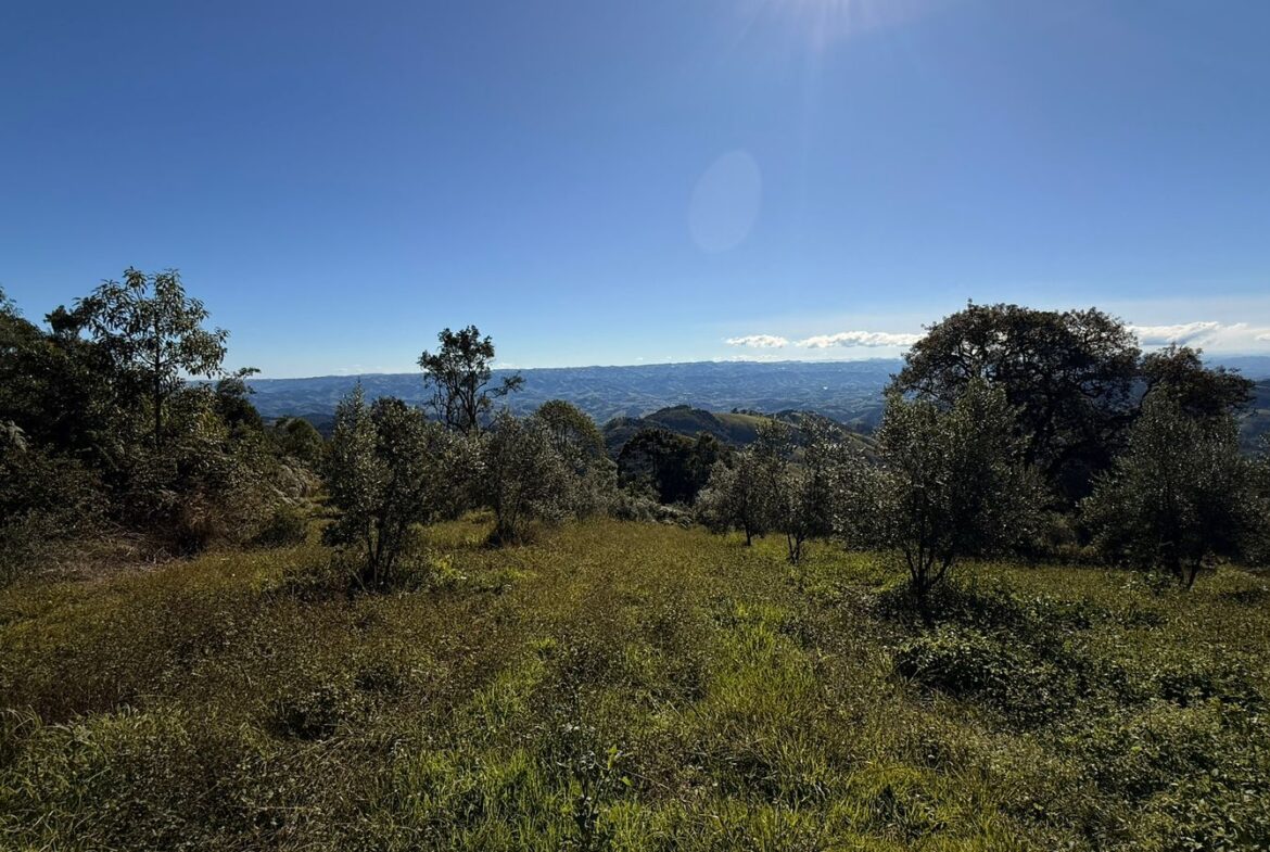 Imagem 32 do sítio à venda em Cambuí/MG — cód. 2539