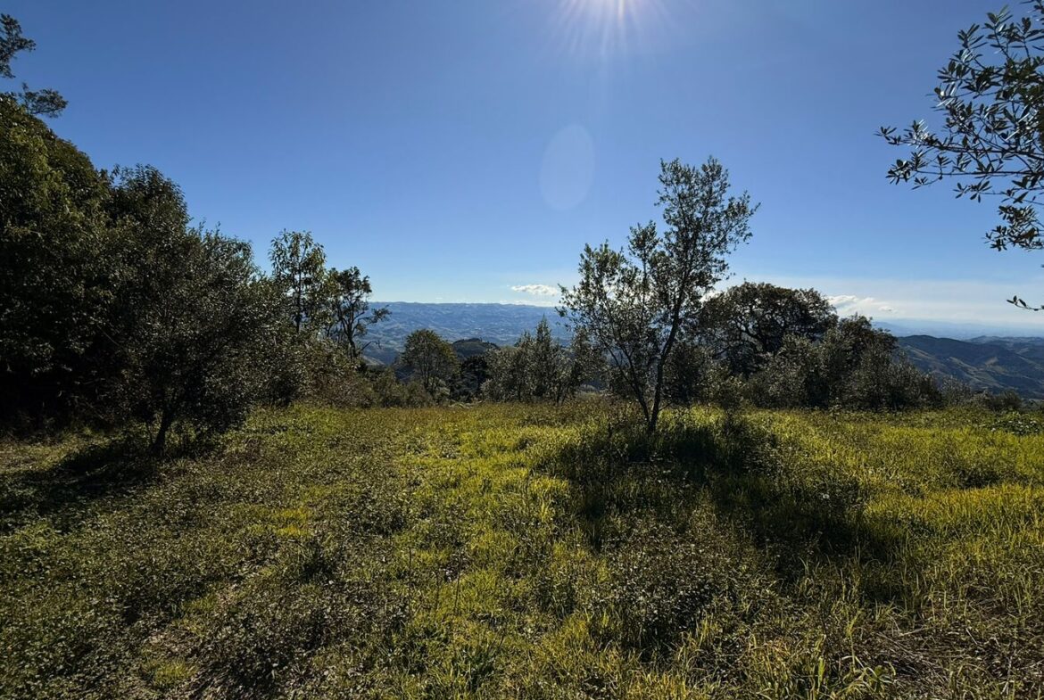 Imagem 33 do sítio à venda em Cambuí/MG — cód. 2539