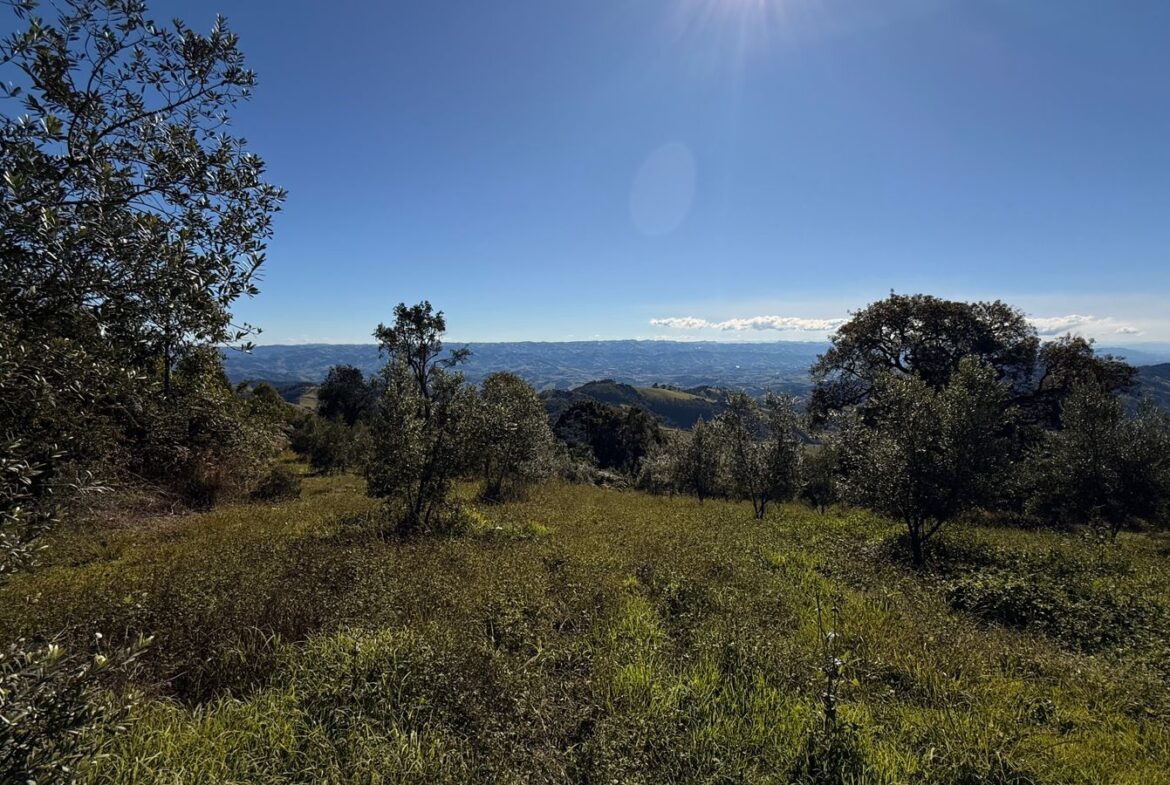Imagem 34 do sítio à venda em Cambuí/MG — cód. 2539