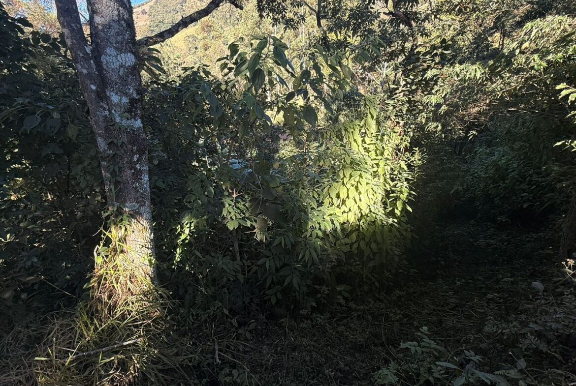Sítio Rural à Venda em Córrego do Bom Jesus MG – 38.000 m²